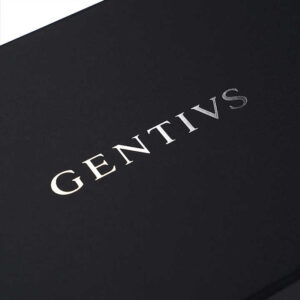 Folding Box #06