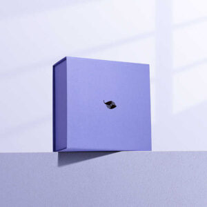 Folding Box #15