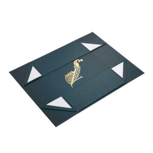 Folding Box #19