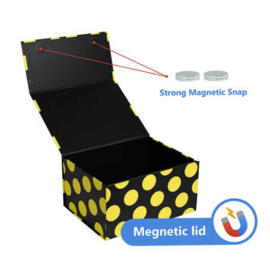 Folding Box #21