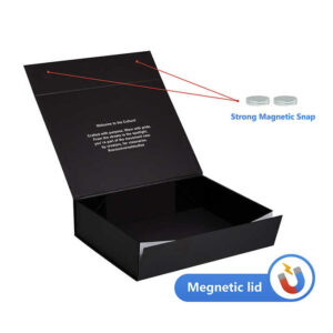Folding Box #24