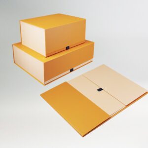 Folding Box #46
