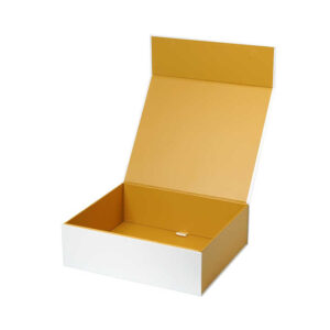Folding Box #56
