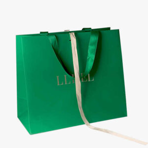 Paper Bag #02