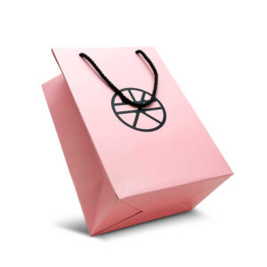 Paper Bag #04