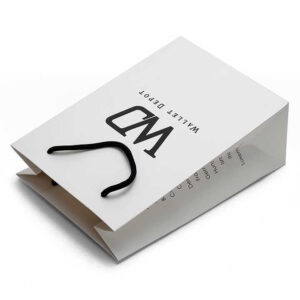 Paper Bag #05