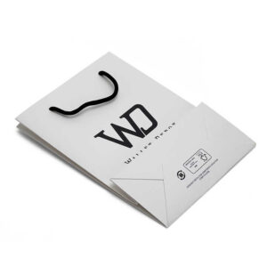 Paper Bag #05
