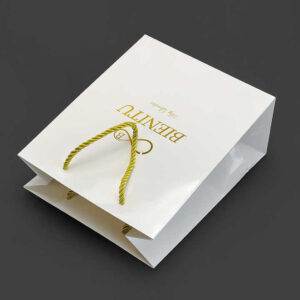 Paper Bag #10