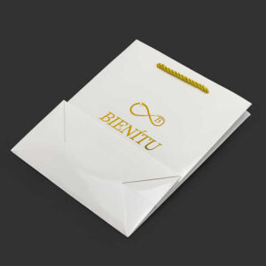 Paper Bag #10