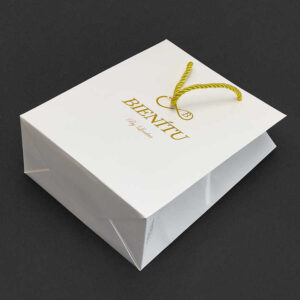 Paper Bag #10