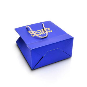 Paper Bag #13