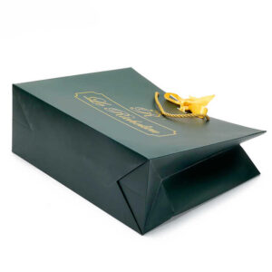 Paper Bag #15