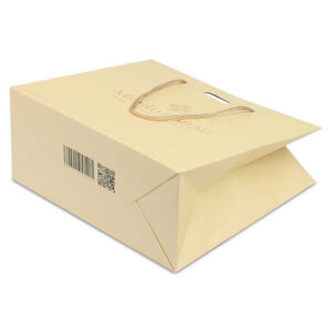 Paper Bag #17