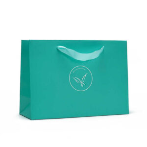 Paper Bag #19