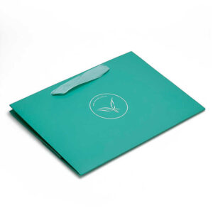 Paper Bag #19