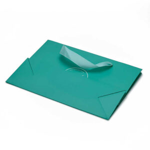 Paper Bag #19
