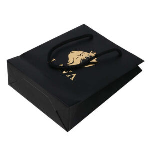Paper Bag #25