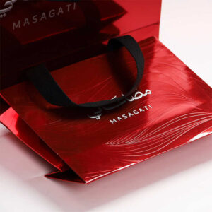 Paper Bag #33