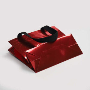 Paper Bag #33