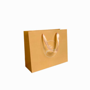 Paper Bag #38