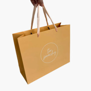 Paper Bag #38
