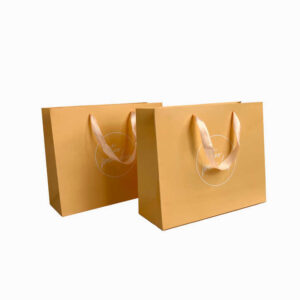 Paper Bag #38