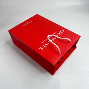 Paper Bag #41