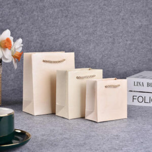 Paper Bag #42