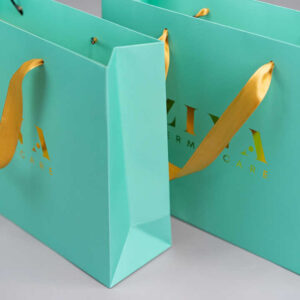 Paper Bag #43