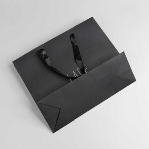 Paper Bag #45