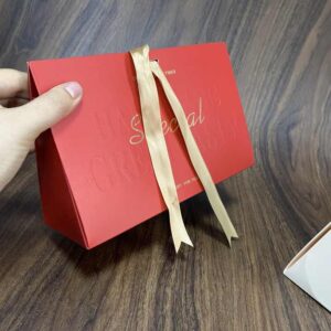 Paper Bag #47
