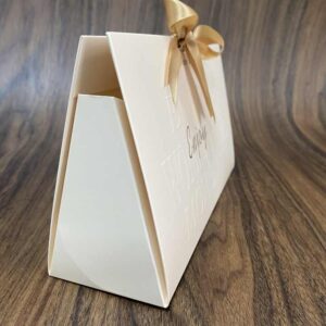 Paper Bag #47