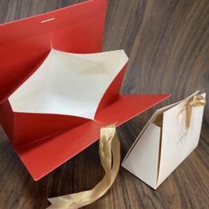 Paper Bag #47